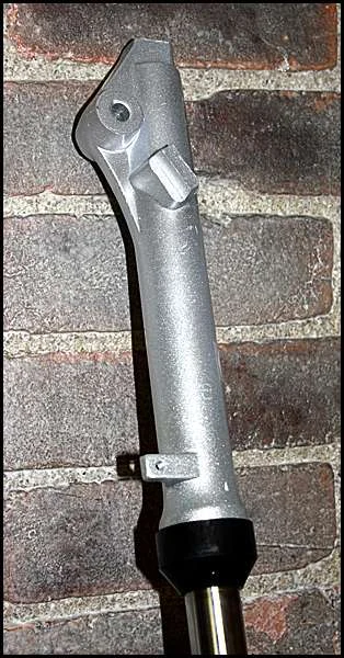 baja-tallgreyfork-2.jpg
